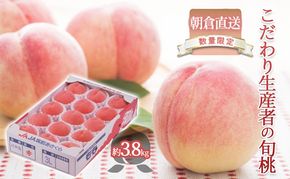 限定 数量 桃 もも モモ 3.8kg 2026年 発送 フルーツ 果物 くだもの デザート 筑前あさくら農協 オンライン決済限定 配送不可 離島