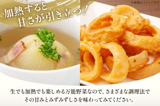 AJ113 【訳あり】 湧水の里 モリファーム 新玉ねぎ 3kg 不揃い (S～Lサイズ混合) [ 新たまねぎ 新たま 玉ねぎ たまねぎ タマネギ 生玉ねぎ サラダ おいしい ふぞろい 訳アリ 森農園 湧水の里 モリファーム 長崎県島原市 ]