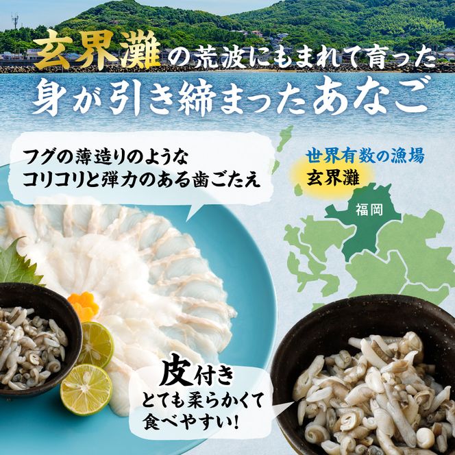 天然 あなご の 刺身【宗像産】1～2人前(60g)×3パック【宗像漁協】_HA0453