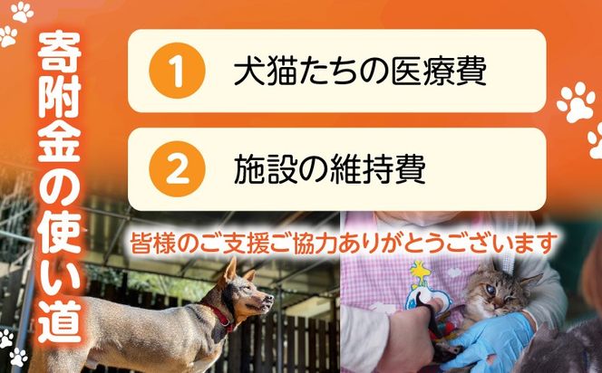 保健所犬猫レスキュー【返礼品なしのご寄附】犬 猫 保護 レスキュー 動物愛護 返礼品なし ペット 保護犬 保護猫 支援 応援 ボランティア_kn101-003