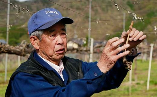 高級ぶどう味比べ詰合せ ナガノパープル ＆ シャインマスカット 約2kg 3～4房 ［小布施屋］ 果物 フルーツ ぶどう 葡萄 詰め合わせ セット 食べ比べ 令和7年産【2025年9月中旬～10月発送】 ［C-1］