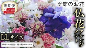 【 定期便 12か月 】季節の お花 の 仏花 アレンジメント LL ギフト プレゼント 花 お祝い 贈答 記念日 フラワー  [CT148ci]