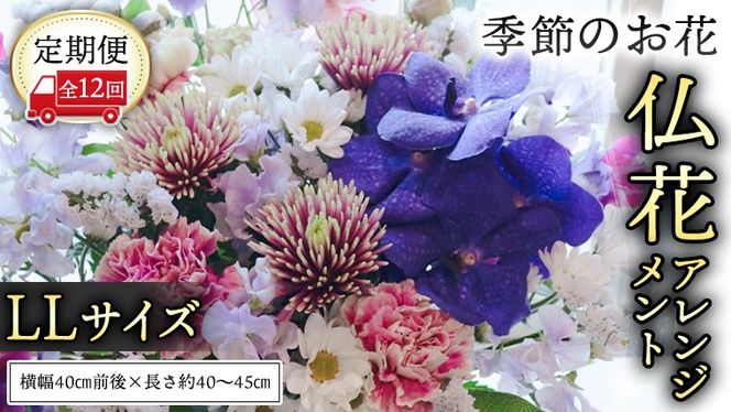 y錧}szy  12 zG߂    AWg LL Mtg v[g  j  LO t[  [CT148ci]