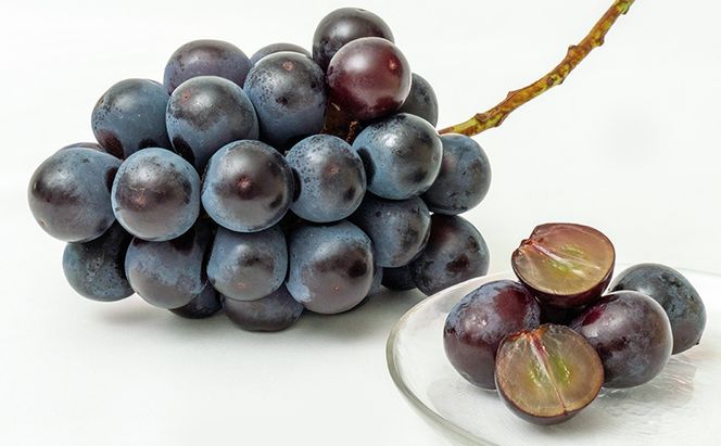 ぶどう 2026年 先行予約 ニュー ピオーネ 2房（1房480g以上）約1kg 化粧箱入り ブドウ 葡萄  岡山県産 国産 フルーツ 果物 ギフト 甘みが強い 酸味 皮離れがいい 大粒 食べ応え 