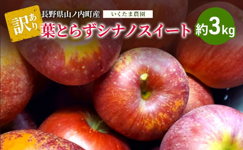 [2026年10月発送]訳あり シナノスイート 約3kg リンゴ りんご フルーツ 果物 お取り寄せ 長野県 山ノ内町