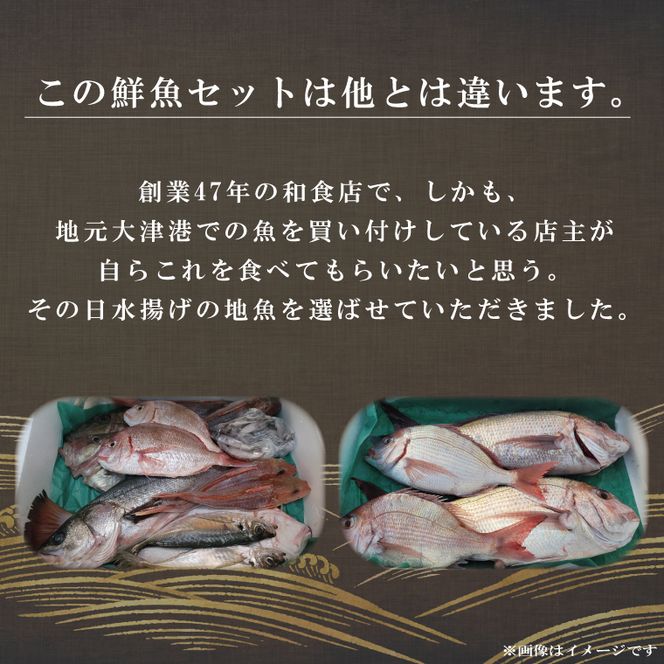 飲食店『食彩太信』店主が選ぶ！大津港地魚鮮魚セット 下処理済み【賞味期限：到着後、冷蔵保存で3日間】【産地直送 新鮮 魚介 平目 ヒラメ 真鯛 鯛 イナダ たら のどぐろ 刺身 魚料理 北茨城市 茨城県】(AA205)