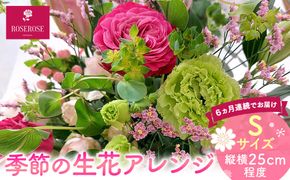 【定期便６ヵ月】季節の生花アレンジ　Sサイズ　６ヵ月連続でお届け 【 フラワー アレンジメント お花 ギフト プレゼント 贈り物 誕生日 お祝い 神奈川県 小田原市 】 142069_HQ010