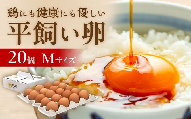 こだわりの卵「天上卵」20個セット 糸島市 / 糸島ファームハウスUOVO【おおはまファーム】 [AKH001] 鶏卵 卵 平飼い 平飼い卵 玉子 たまご 高級 新鮮 自然 自家配合飼料