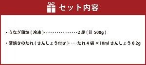 【ふるさと納税】職人の手焼き 活〆うなぎ蒲焼 2尾入り（計500g） うなぎ ウナギ 鰻 蒲焼き 蒲焼 関西風 タレ付き 国産 冷凍 3D凍結 高鮮度 お取り寄せ 丑の日 土用丑の日【1423346】 兵庫県 新温泉町 送料無料