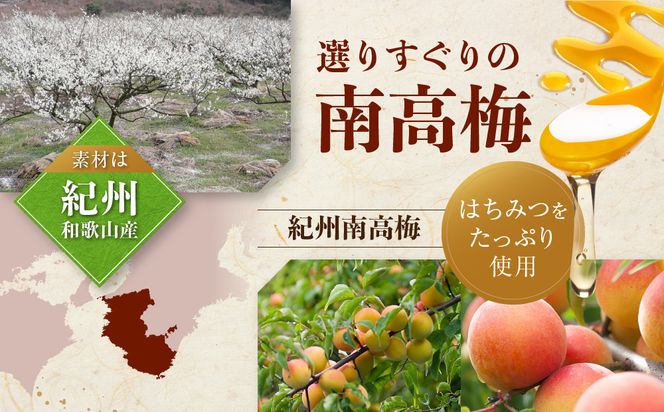 紀州南高梅 はちみつ極 塩分約6％ 850g ［YM10］ 303446_DX90013