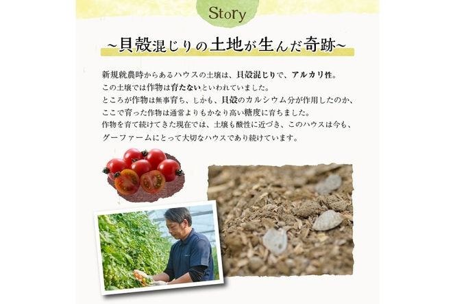 ＜先行予約受付中！2025年12月から順次発送予定＞＜期間限定＞ ミニトマト(約3kg) ミニトマト(約3kg)野菜 とまと フルーツトマト サマー千果 アイコ サラダ 【GF-2】【グーファーム】