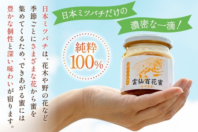 AJ444 はちみつ 国産 百花蜜 250g 2個 日本ミツバチ 純粋 100% [ 安中梅林を育てる会 蜂蜜 ハチミツ 非加熱 無添加 長崎県 島原市 ]