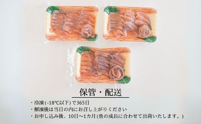 富士の介の刺し身　150g×3P AV005  ｜ 富士の介 お刺身　おせち お正月 新年 お祝い ギフト 贈り物 年賀 湧水 グルメお歳暮 プレゼント お歳暮 希少　カルパッチョ　ユッケ