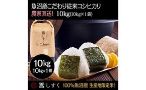 令和7年産！魚沼産こだわり従来コシヒカリ【農家直送!】10kg×1袋 お米 米 コメ 