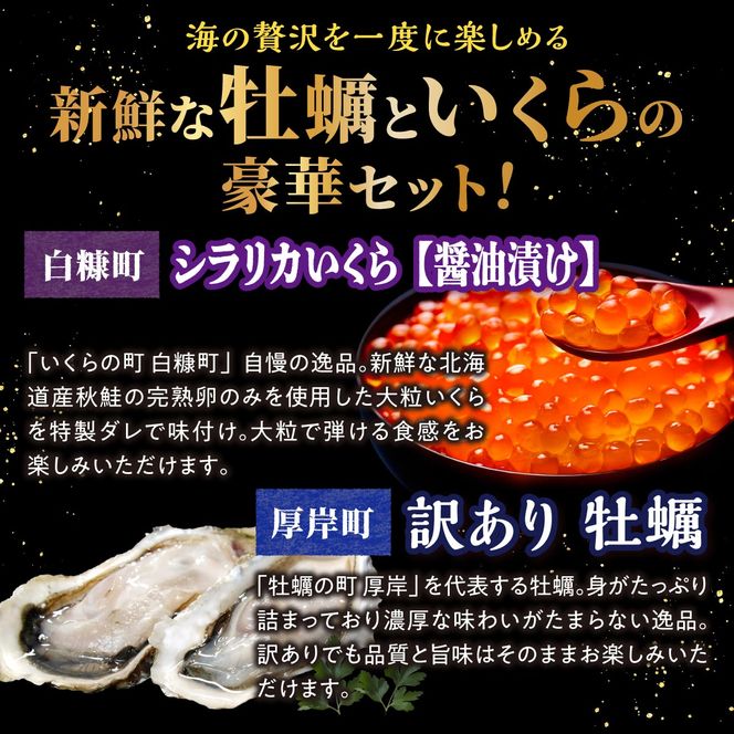 北海道 厚岸産 牡蠣 約4kg 訳あり × 北海道産 シラリカいくら 【醤油漬け】 500g (250g×2)  海鮮 セット いくら イクラ 牡蠣 生牡蠣 カキ 殻付き 海鮮 生食用 海鮮 海鮮丼 魚介 貝 厚岸町 白糠町
