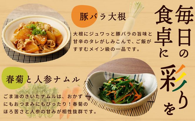 099Z279 旬の新鮮 野菜セット（15種以上）定期便 全4回 おまかせ ピクルスの素付き ファミリー向け いずみピクルス NSW【毎月配送コース】