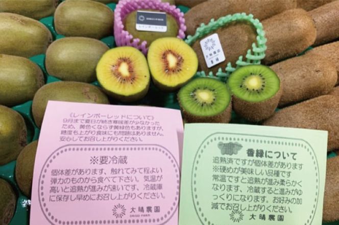 【先行予約】「産直の里大晴農園 内牧」キウイフルーツ２種詰め合わせ　27～33玉入り【本州限定】【埼玉県 春日部市 国産 果物 フルーツ 詰め合わせ 食べ比べ 旬の味覚 産地直送 家庭用 デザート】(BY003-3)