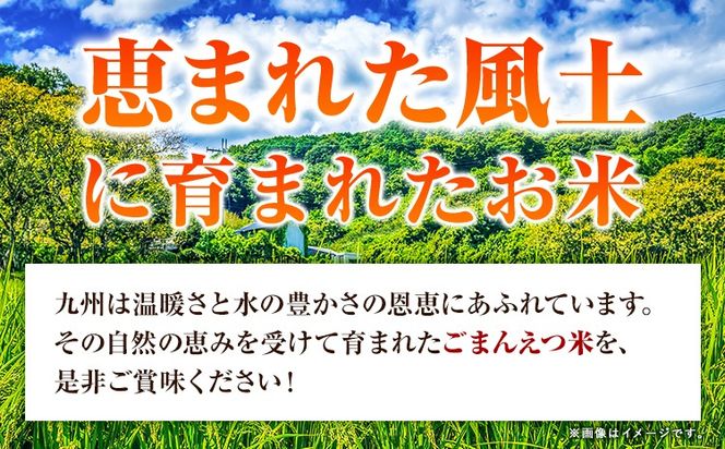 米 訳あり 無洗米 ごまんえつ米 【24ヶ月定期】 選べる内容量 5kg 10kg 15kg 20kg 米 こめ 家庭用 備蓄 熊本県 長洲町 くまもと 返礼品 ブレンド米 送料無料 国内産 熊本県産 訳あり 配送 《お申し込み月の翌月から出荷開始》---ng_gmntei_5kg_228000_mo24---