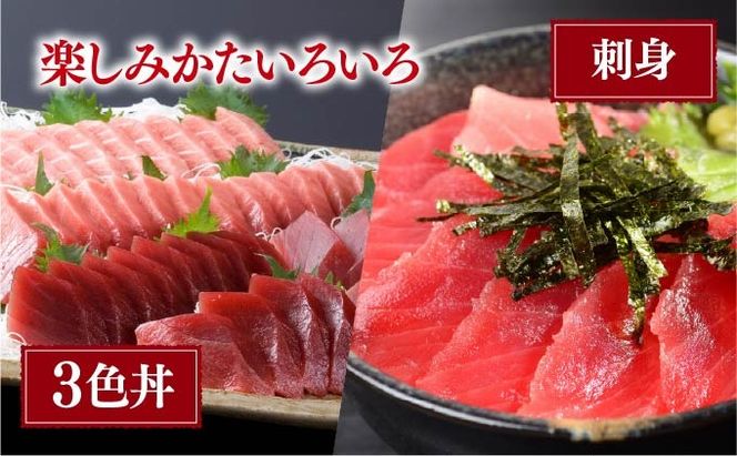 本マグロ（大トロ・中トロ・赤身）訳ありセット 1kg【ogm-025】