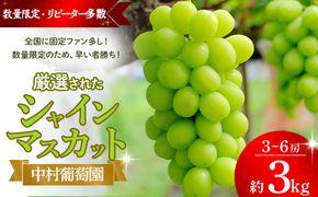 【2027年/令和9年発送分】中村葡萄園 シャインマスカット 3kg箱　人気　おすすめ　国産　贈答　ギフト　お取り寄せ　山梨県産　産地直送　フルーツ　果物　くだもの　ぶどう　ブドウ　葡萄　シャイン　シャインマスカット　新鮮　N-10