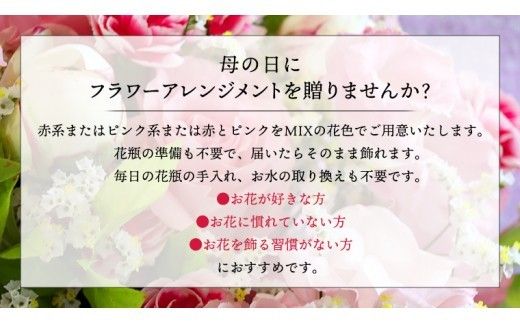 【 母の日 】 フラワー アレンジメント S 赤 ・ ピンク 系 ギフト プレゼント 花 お祝い 贈答 記念日 [CT079ci]