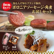 もちぶた お試しセット こだわりのちょっと贅沢を ソーセージ 角煮 豚肉