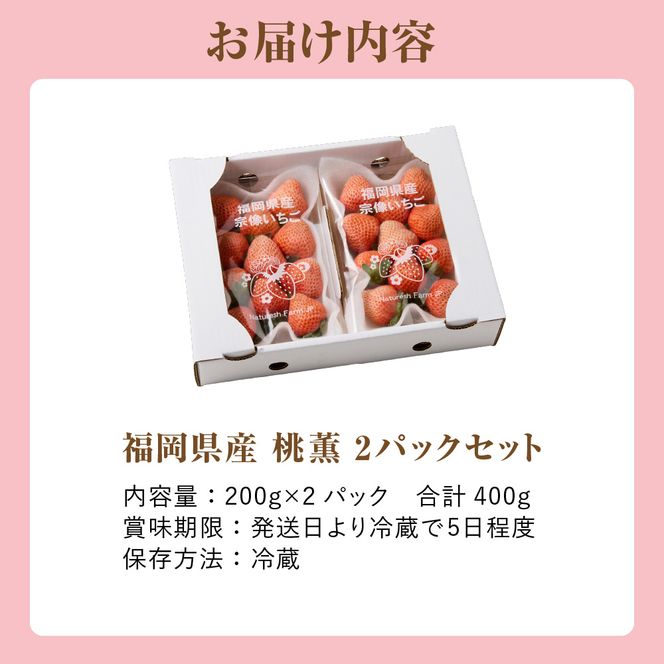 【先行予約】【2026年12月中旬より順次発送】福岡県産　桃薫　2パックセット【ナチュレッシュ・ファーム・ジェイピー】_HA1338