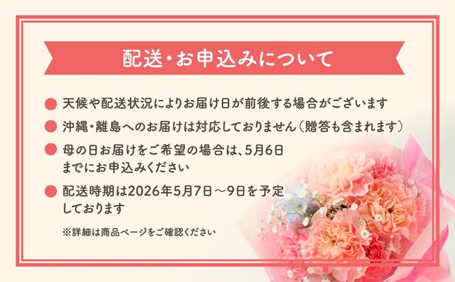 ＼先行受付 令和8年5月10日の母の日お届け：5月6日(水) 決済完了分まで！／ クレマチス 「 白万重 」 5号鉢 ラッピング付き 母の日直前にお届け 2026年 お母さんへの心を込めた贈り物 長持ち 鉢植え フラワーセット プレゼント 送料無料 故郷納税 福島県 田村市 フローラハシモト