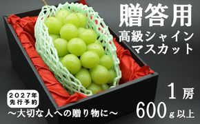 【2027年発送分 先行予約】贈答用！希少価値の高い高級シャインマスカット（１房 ６００ｇ以上）　シャイン シャインマスカット マスカット 葡萄 ぶどう ブドウ 果物 くだもの フルーツ 山梨 やまなし 富士川町 ギフト プレゼント 贈り物