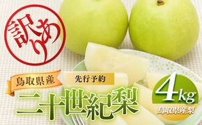 953.【先行予約】【訳あり】二十世紀梨 4kg【梨・なし】≪梨 なし ナシ 果物 フルーツ くだもの 鳥取県北栄町≫※8月下旬頃～9月下旬頃に順次発送 313726_AN003