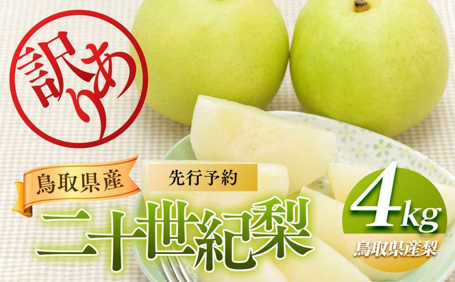 953.【先行予約】【訳あり】二十世紀梨 4kg【梨・なし】≪梨 なし ナシ 果物 フルーツ くだもの 鳥取県北栄町≫※8月下旬頃～9月下旬頃に順次発送 313726_AN003