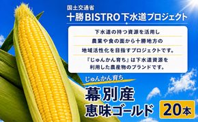 2027年発送先行予約 北海道 十勝 幕別産 とうもろこし 恵味ゴールド 20本「じゅんかん育ち」北王農林［十勝BISTRO下水道プロジェクト］【 とうもろこし とうきび コーン 野菜 フルーツ 甘い 】