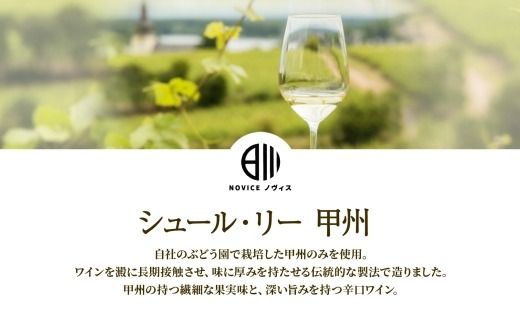 白ワイン NOVICEノヴィス  シュール・リー 甲州 720ml×1本 フルボトル 辛口 日川中央葡萄酒 山梨県 笛吹市 177-7-11