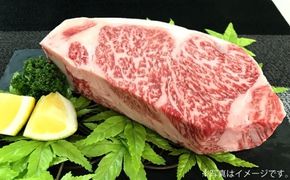 500g【佐賀牛】ロースブロック（タタキ・ローストビーフ・焼肉等） D-609