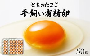 とちのたまご～有精卵～ 25個入り×2箱 計50個 | 卵 たまご 平飼い 有精卵 たまごかけごはん 