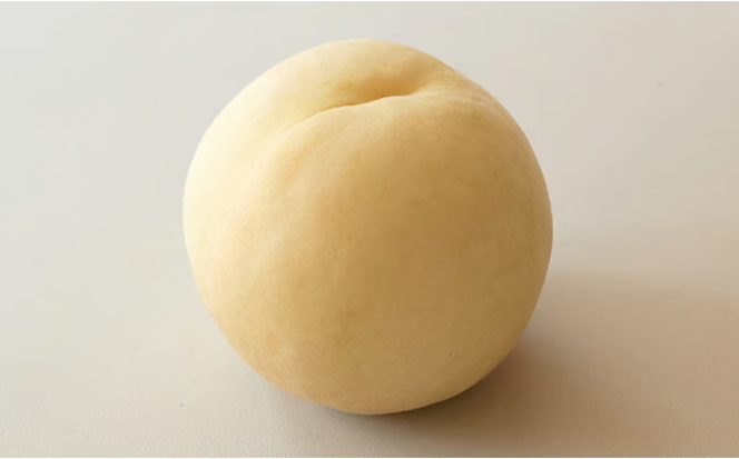 桃 2026年 先行予約 井頭 白桃 4～6玉入り 1.5kg規格箱 もも モモ 岡山県産 国産 フルーツ 果物 ギフト 井頭栄果園 [№5735-1143]