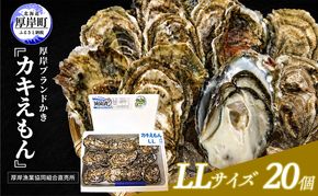 カキ 生食用 北海道 厚岸産 殻かき カキエモン LLサイズ  20個 牡蠣 魚貝類 生牡蠣 殻付き牡蠣 カキ ブランド