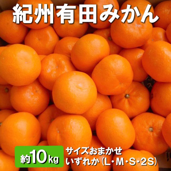 【先行予約】【秀品】有田みかん 約10kg（L・М・S・2Sサイズ おまかせ）和歌山県産