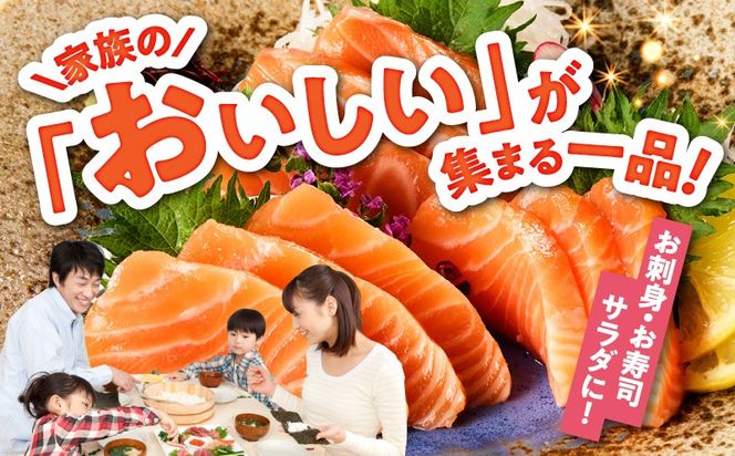 G3561-1 【スピード発送】アトランティックサーモン 1.2kg【小分け ポーション 柵切り 刺身 魚介 海鮮 さーもん 生食 訳あり サイズ不揃い】