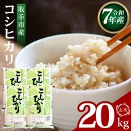 R7年産取手市産コシヒカリ 玄米20kg（5kg×4袋）|お米 米 こしひかり コシヒカリ 玄米 茨城県 取手市（BS015）