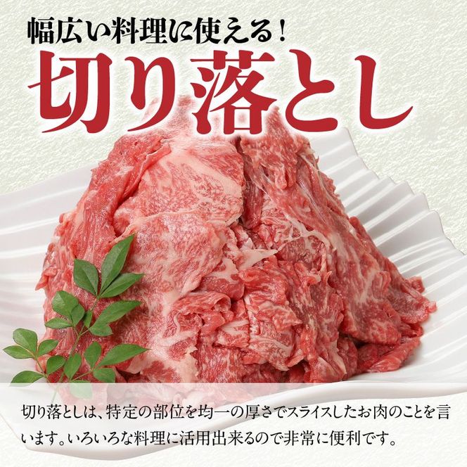 宮崎牛 切り落とし500g N0140-YA1107