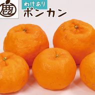 ＜1月より発送＞家庭用 ポンカン1kg+250g（傷み補償分）