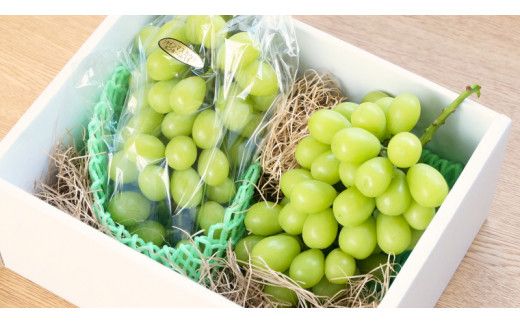 《 先行予約 》 シャインマスカット 2～3房 ( 約 1.5kg )  贈答用 【2026年8月下旬頃発送開始】 ( 共通返礼品：下妻市 )フルーツ 果物 マスカット ぶどう 葡萄 ブドウ 旬 国産 産地直送 化粧箱 ギフト 【石﨑ぶどう園】 [DT002us]