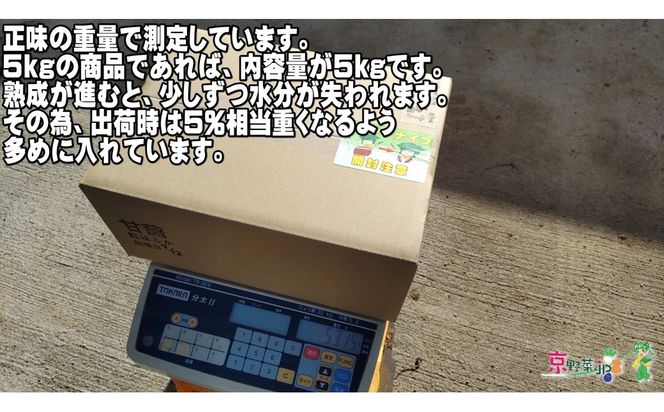 小さい紅はるか（京都産） 8kg　DJ00013