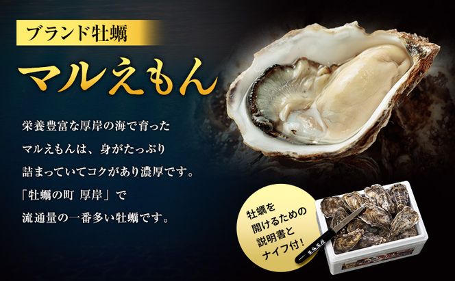 4月発送【他月は別ページ】訳あり 牡蠣 北海道厚岸産 殻付カキ 約4kg (25から50個) カキナイフ付 生食 生牡蠣 貝付き牡蠣 貝 海鮮 魚介類 殻付き牡蠣 マルえもん