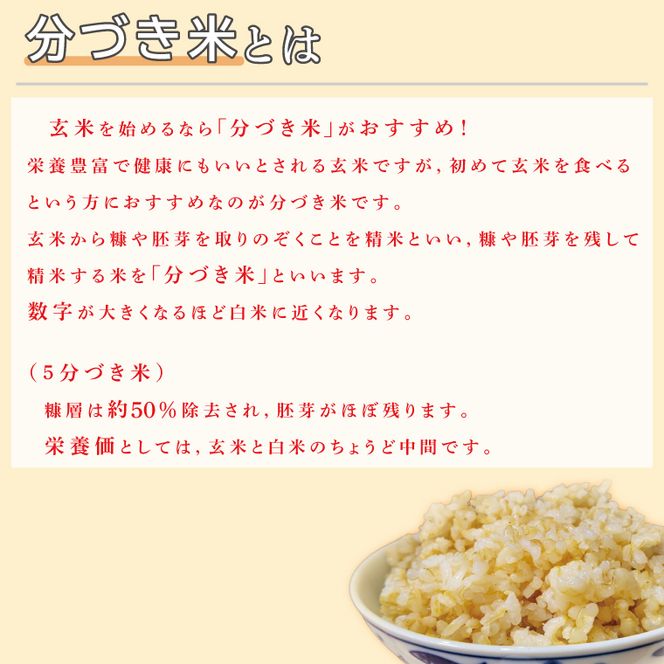★真空包装★R7年産こしひかり 4kg(2kg×2袋)【5分づき】｜米 こめ お米 コシヒカリ こしひかり 真空 真空包装 5分づき 人気 個包装 茨城県 行方市 送料無料(CZ-6-3)