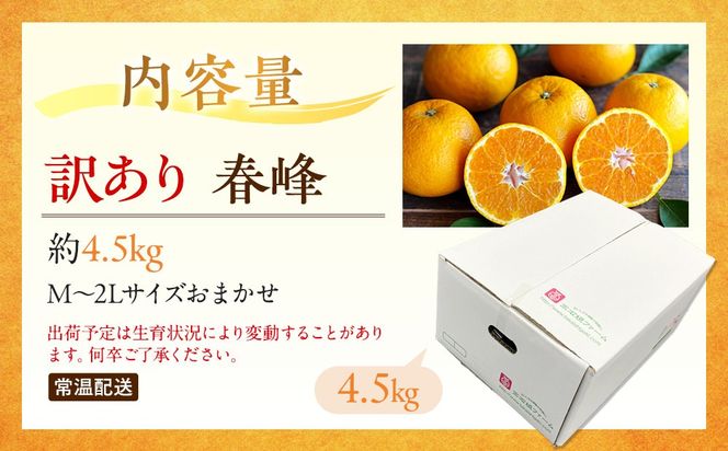 訳あり 春峰 4.5kg M～2Lサイズおまかせ 高石垣ファーム  K016