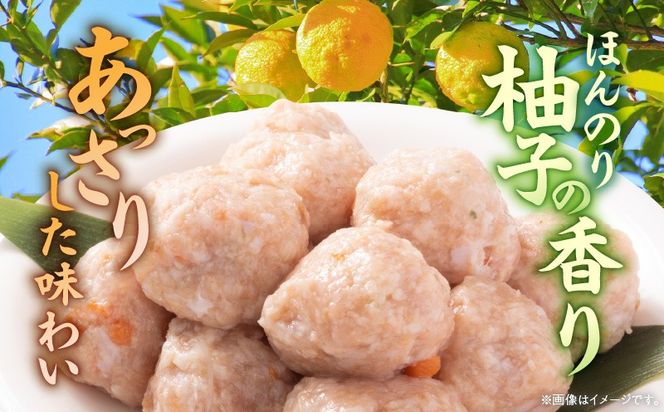 親鶏の脂がおいしい つみれ 合計108玉（12個入り×9袋）_a0388_hi