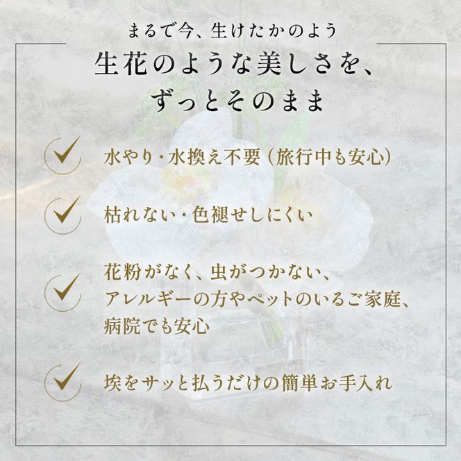 造花 エミリオ・ロバ ファレノプシス 3点セット 同色 胡蝶蘭 ホワイト 白 Sサイズ XSサイズ アートフラワー アーティフィシャルフラワー インテリア 玄関 リビング 卓上 水やり不要 ギフト 贈り物 お祝い 三重県 名張市