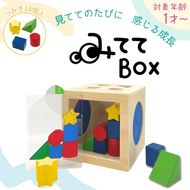 知育玩具 みててBOX ［150A07］ 積み木 円柱 四角 三角 星 シート お手本シート 背景シート ボックス 木 ブラインドボックス 触覚 形当てる チャレンジカード 積み上げ 創造力 学び わくわく 愛知県 小牧市 送料無料